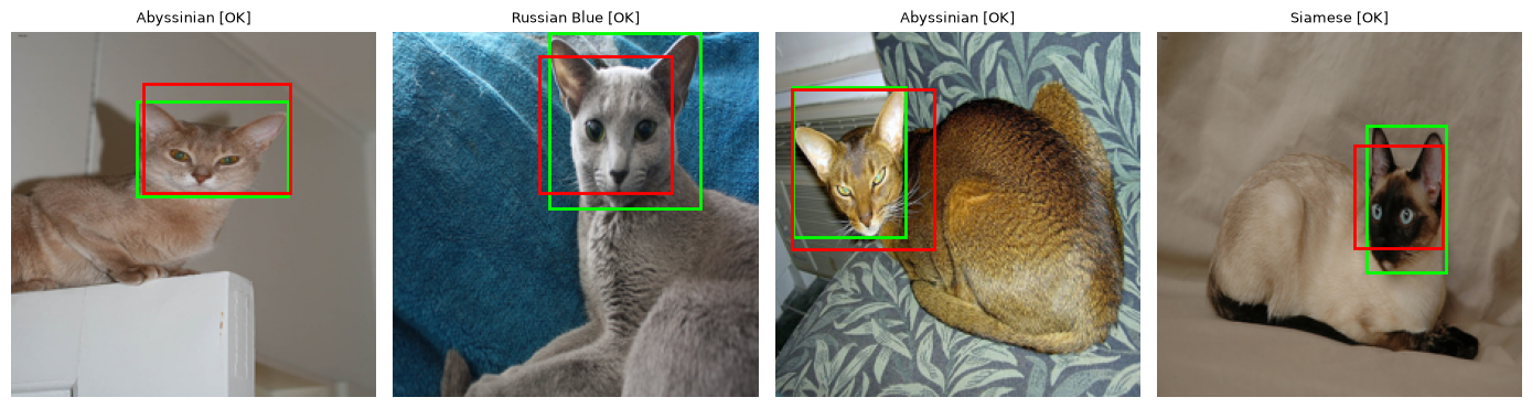 Four cat photos with green ground-truth and the model's predicted breed label and head bounding box, all marked OK