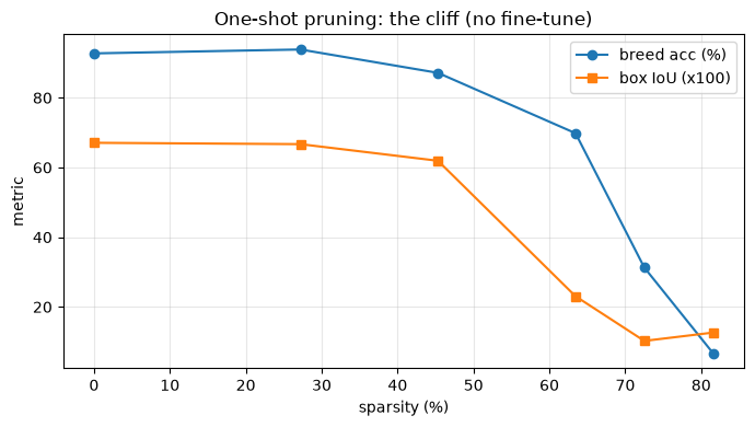 Line chart: breed accuracy and box IoU vs sparsity. Both stable until ~45% then collapse, with box IoU dropping earlier and harder than breed accuracy